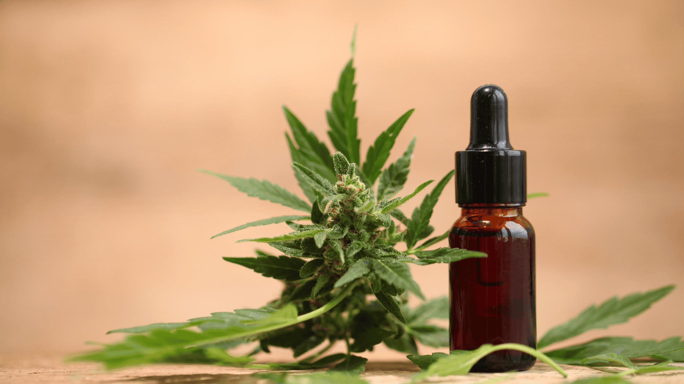 medical marijuana