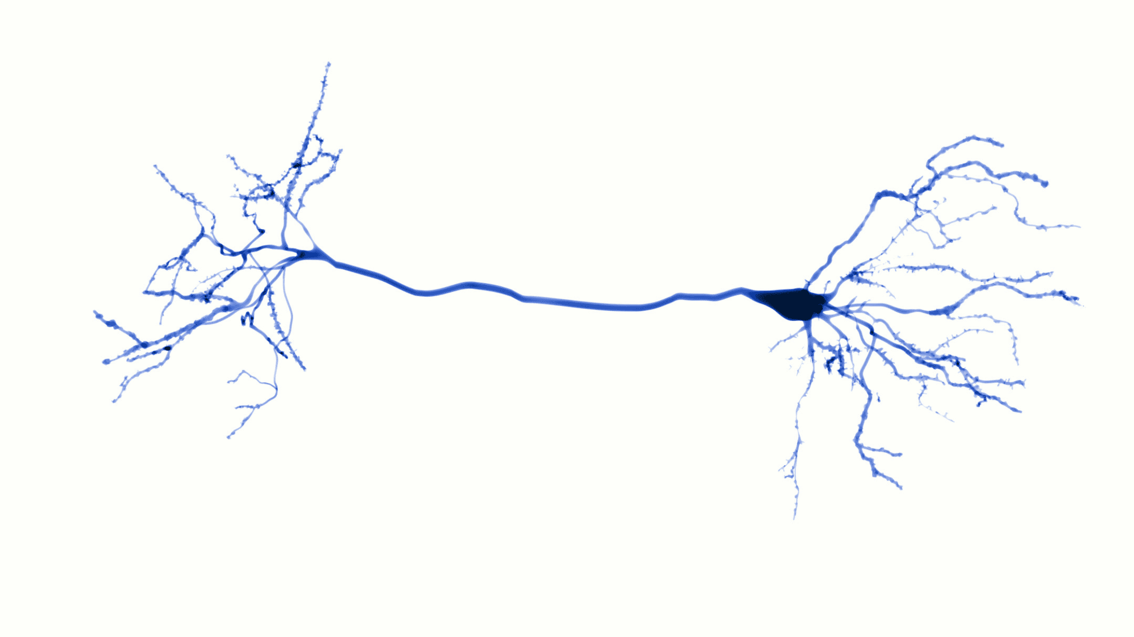nerve hydrodissection